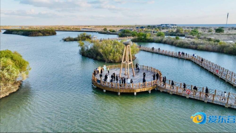 数年的转折 数年的转折